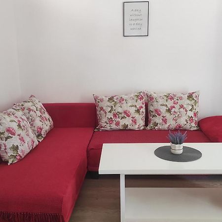 Apartmani Maslina Žuljana Kamer foto