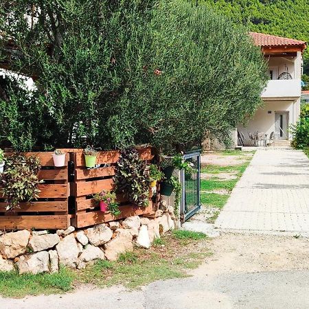 Apartmani Maslina Žuljana Buitenkant foto