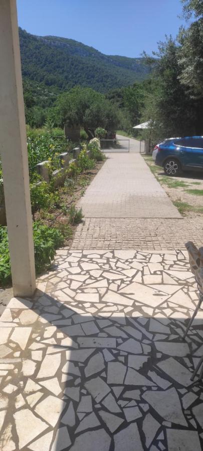 Apartmani Maslina Žuljana Buitenkant foto