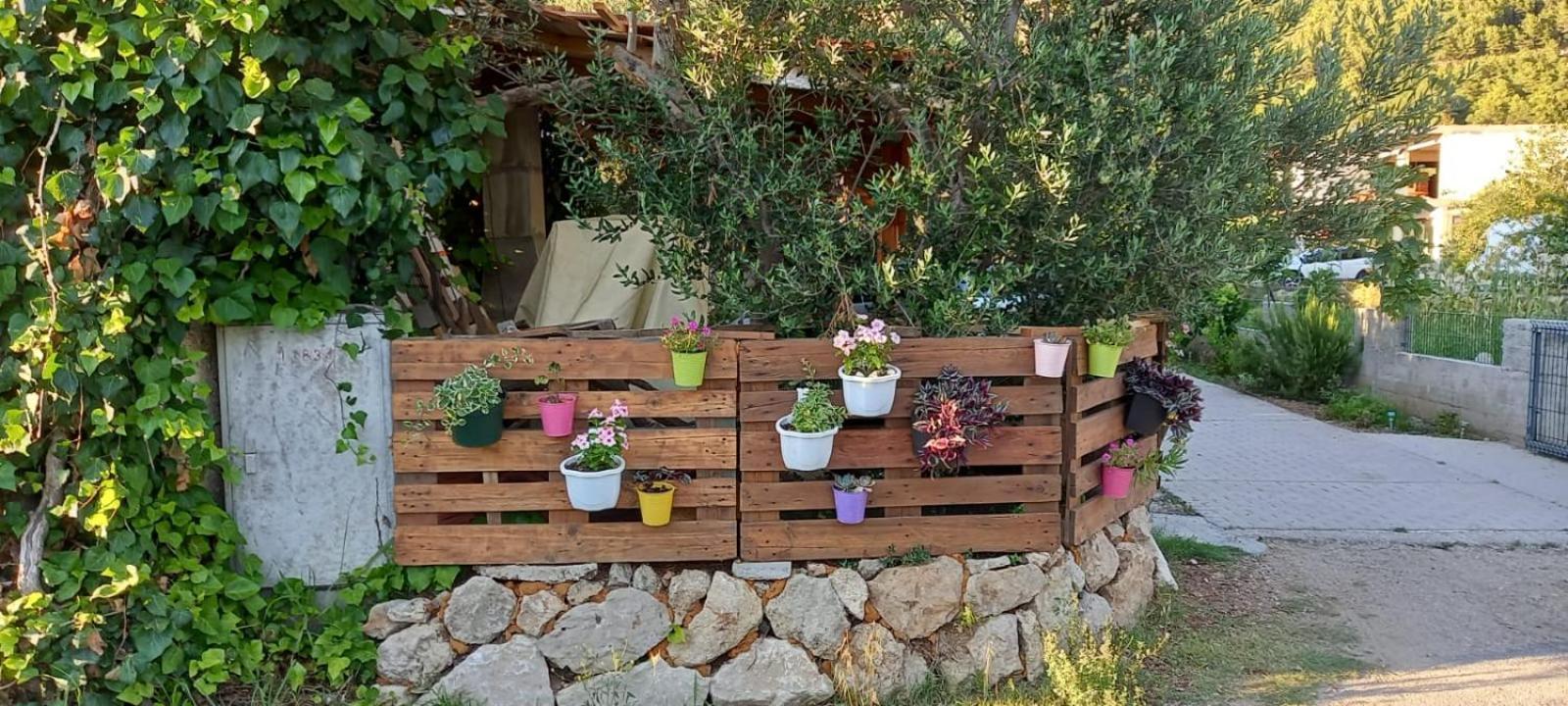 Apartmani Maslina Žuljana Buitenkant foto