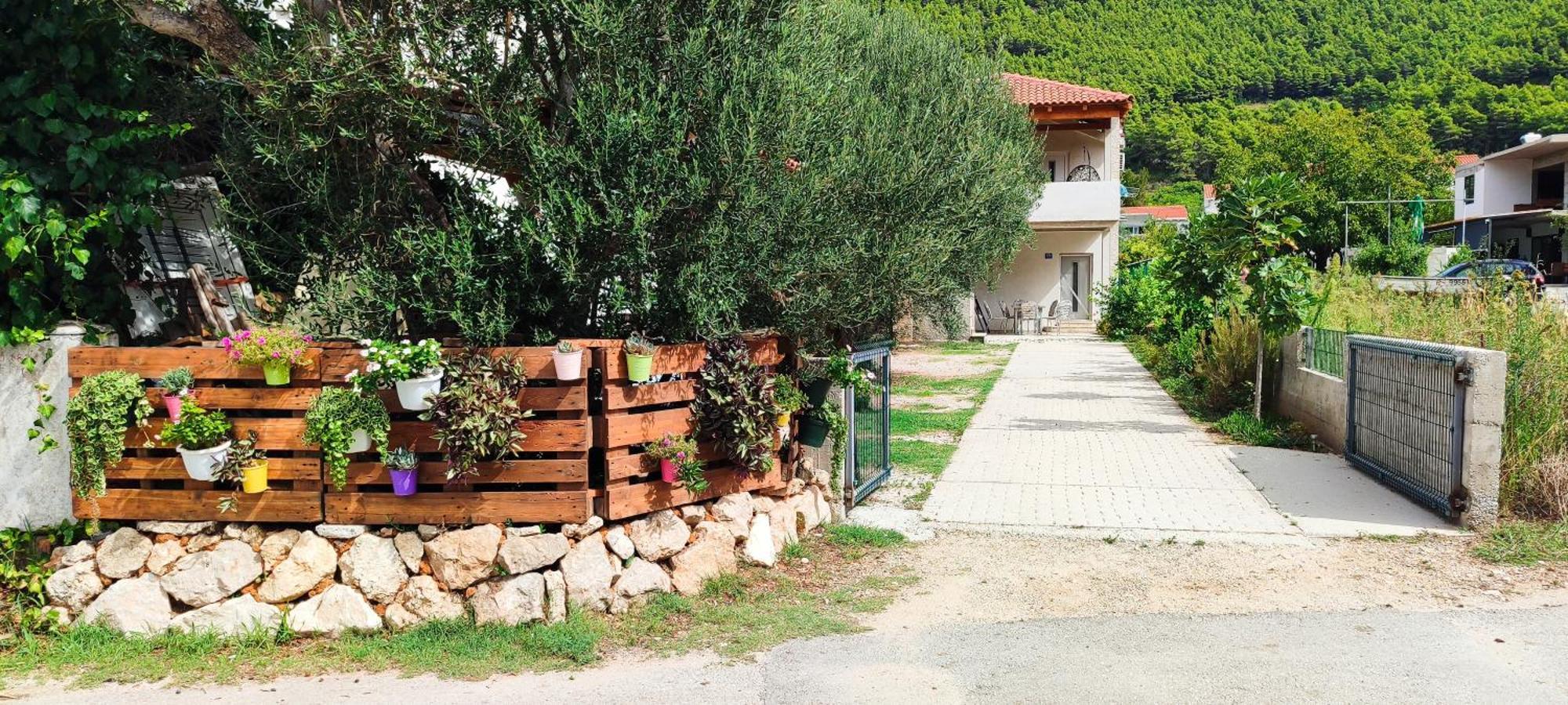 Apartmani Maslina Žuljana Buitenkant foto